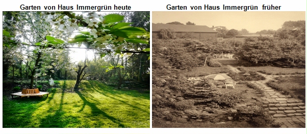 garten-haus-immergrün